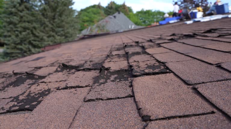 Best Emergency Roof Repair Services  in Mount Penn, PA